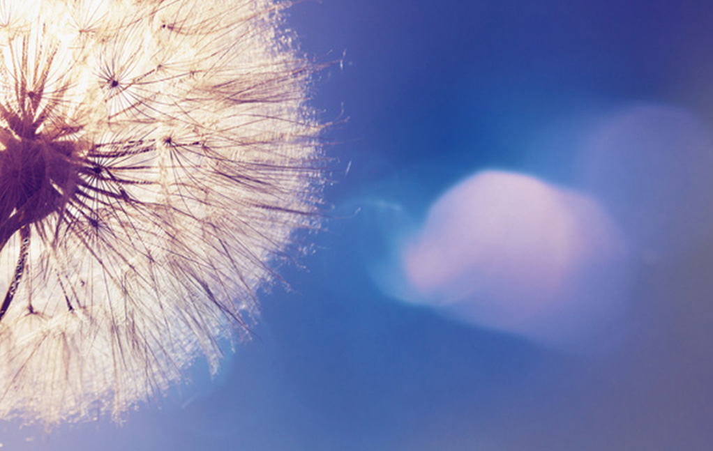 大奖国际·18dj18(中国)官方网站